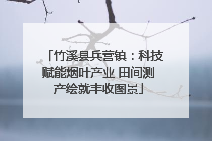 竹溪县兵营镇：科技赋能烟叶产业 田间测产绘就丰收图景