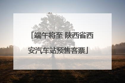 端午将至 陕西省西安汽车站预售客票