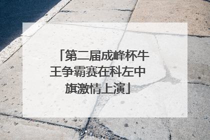 第二届成峰杯牛王争霸赛在科左中旗激情上演