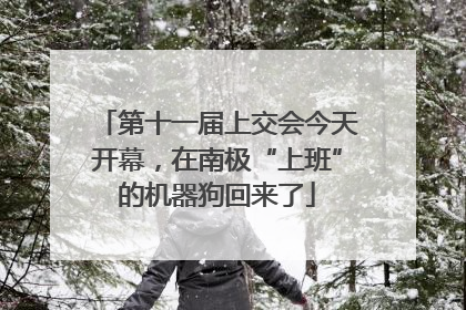第十一届上交会今天开幕，在南极“上班”的机器狗回来了