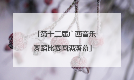 第十三届广西音乐舞蹈比赛圆满落幕