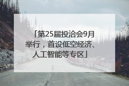 第25届投洽会9月举行，首设低空经济、人工智能等专区