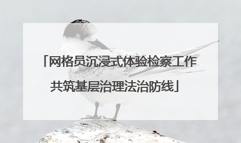 网格员沉浸式体验检察工作 共筑基层治理法治防线