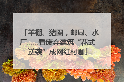 羊棚、猪圈，邮局、水厂……看废弃建筑“花式逆袭”成网红村咖
