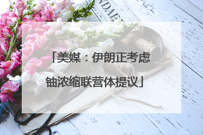 美媒：伊朗正考虑铀浓缩联营体提议