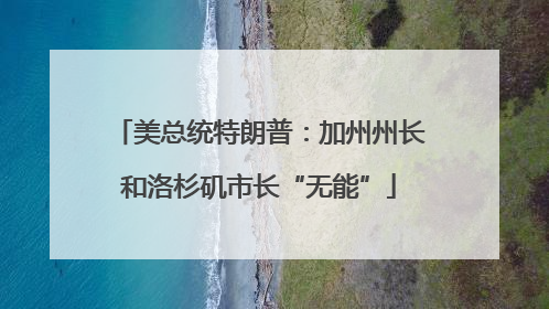 美总统特朗普：加州州长和洛杉矶市长“无能”