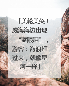 美轮美奂！威海海边出现“蓝眼泪”，游客：海浪打过来，就像星河一样
