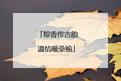 粽香传古韵 温情暖桑榆