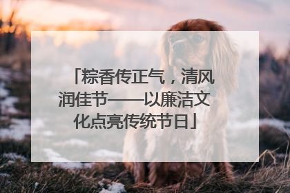 粽香传正气，清风润佳节——以廉洁文化点亮传统节日