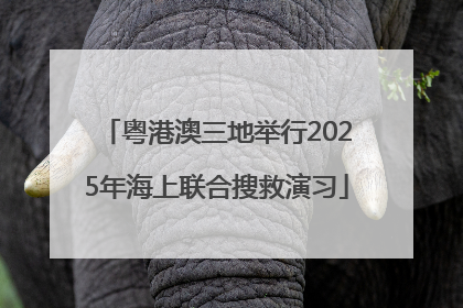 粤港澳三地举行2025年海上联合搜救演习