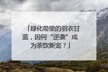 绿化带里的羽衣甘蓝，因何“逆袭”成为茶饮新宠？