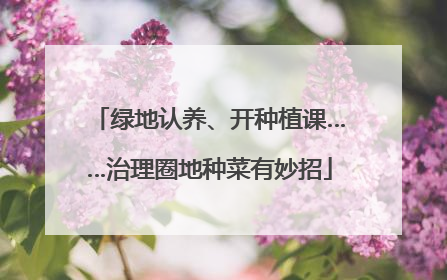 绿地认养、开种植课……治理圈地种菜有妙招