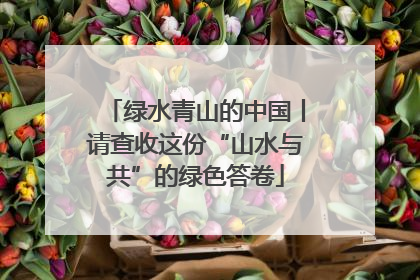 绿水青山的中国丨请查收这份“山水与共”的绿色答卷