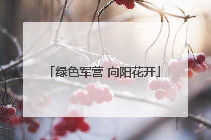 绿色军营 向阳花开