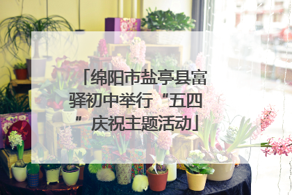 绵阳市盐亭县富驿初中举行“五四”庆祝主题活动