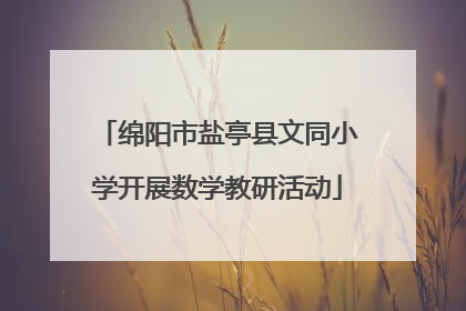 绵阳市盐亭县文同小学开展数学教研活动