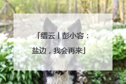 缙云丨彭小容：盐边，我会再来