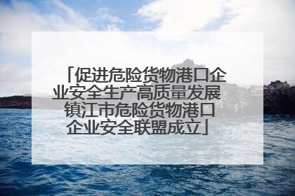 促进危险货物港口企业安全生产高质量发展 镇江市危险货物港口企业安全联盟成立
