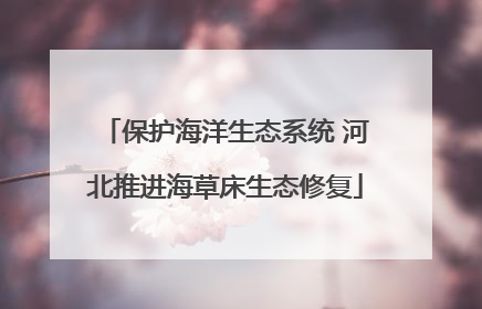 保护海洋生态系统 河北推进海草床生态修复