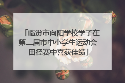 临汾市向阳学校学子在第二届市中小学生运动会田径赛中喜获佳绩