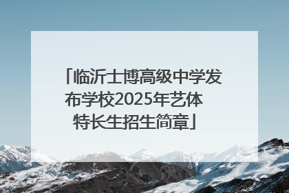 临沂士博高级中学发布学校2025年艺体特长生招生简章