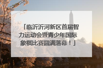 临沂沂河新区首届智力运动会暨青少年国际象棋比赛圆满落幕！