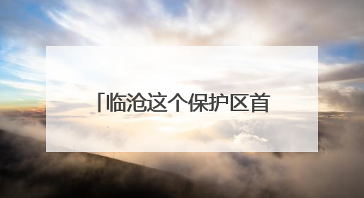 临沧这个保护区首次记录中国独有物种——黑顶蛙口夜鹰