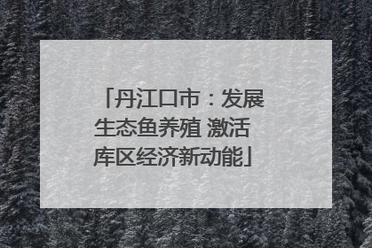 丹江口市：发展生态鱼养殖 激活库区经济新动能