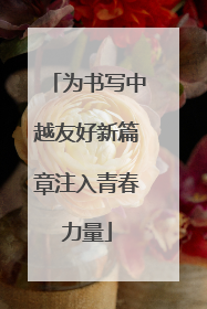 为书写中越友好新篇章注入青春力量