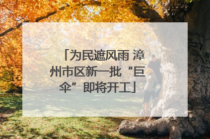 为民遮风雨 漳州市区新一批“巨伞”即将开工