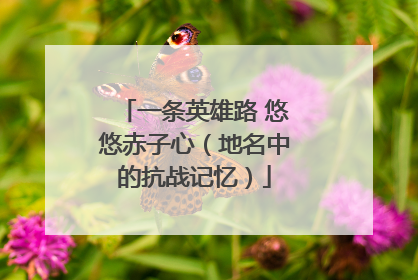 一条英雄路 悠悠赤子心（地名中的抗战记忆）