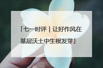 七一时评｜让好作风在基层沃土中生根发芽
