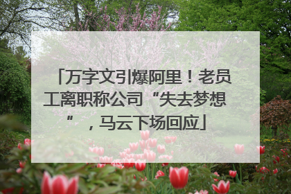 万字文引爆阿里！老员工离职称公司“失去梦想”，马云下场回应
