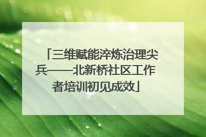 三维赋能淬炼治理尖兵——北新桥社区工作者培训初见成效