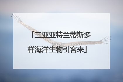 三亚亚特兰蒂斯多样海洋生物引客来