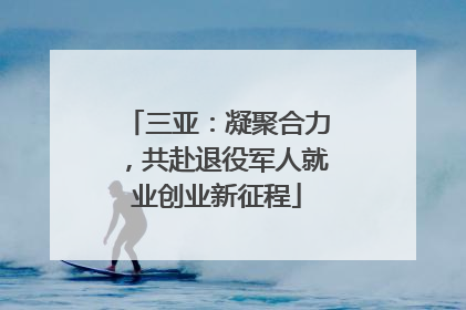 三亚：凝聚合力，共赴退役军人就业创业新征程