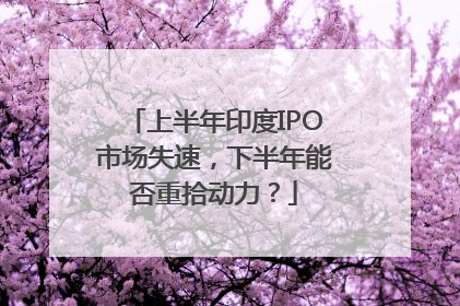 上半年印度IPO市场失速，下半年能否重拾动力？