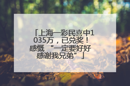 上海一彩民喜中1035万，已兑奖！感慨 “一定要好好感谢我兄弟”