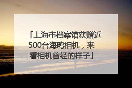 上海市档案馆获赠近500台海鸥相机，来看相机曾经的样子