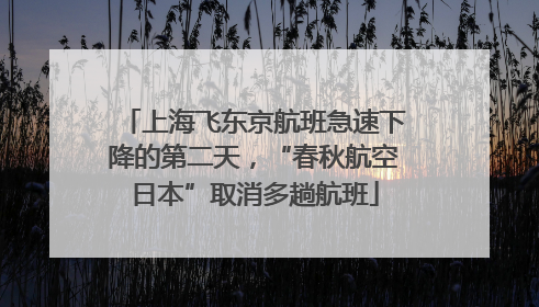 上海飞东京航班急速下降的第二天，“春秋航空日本”取消多趟航班