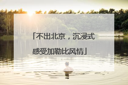 不出北京，沉浸式感受加勒比风情