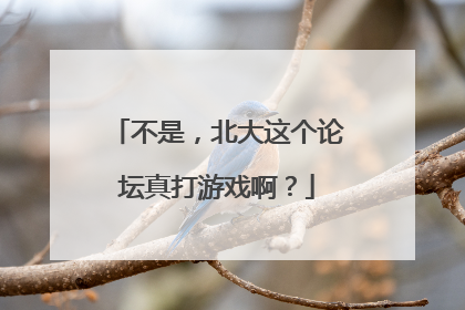 不是，北大这个论坛真打游戏啊？
