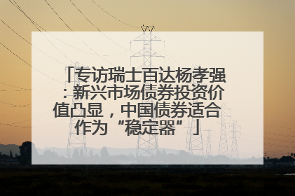 专访瑞士百达杨孝强：新兴市场债券投资价值凸显，中国债券适合作为“稳定器”