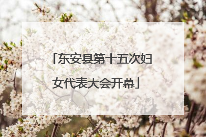 东安县第十五次妇女代表大会开幕