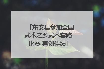 东安县参加全国武术之乡武术套路比赛 再创佳绩
