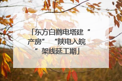东方白鹳电塔建“产房” “陕电入皖”架线延工期