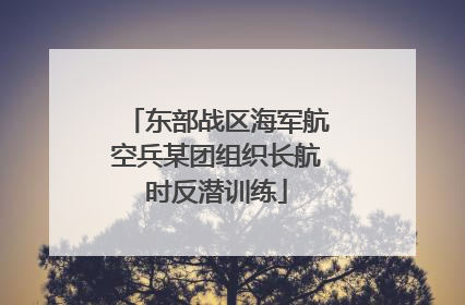 东部战区海军航空兵某团组织长航时反潜训练