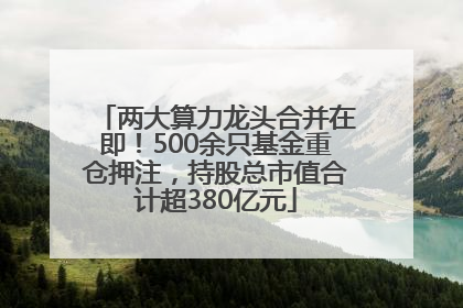 两大算力龙头合并在即！500余只基金重仓押注，持股总市值合计超380亿元