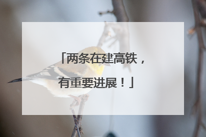 两条在建高铁，有重要进展！