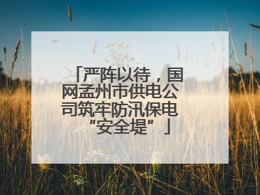 严阵以待，国网孟州市供电公司筑牢防汛保电“安全堤”